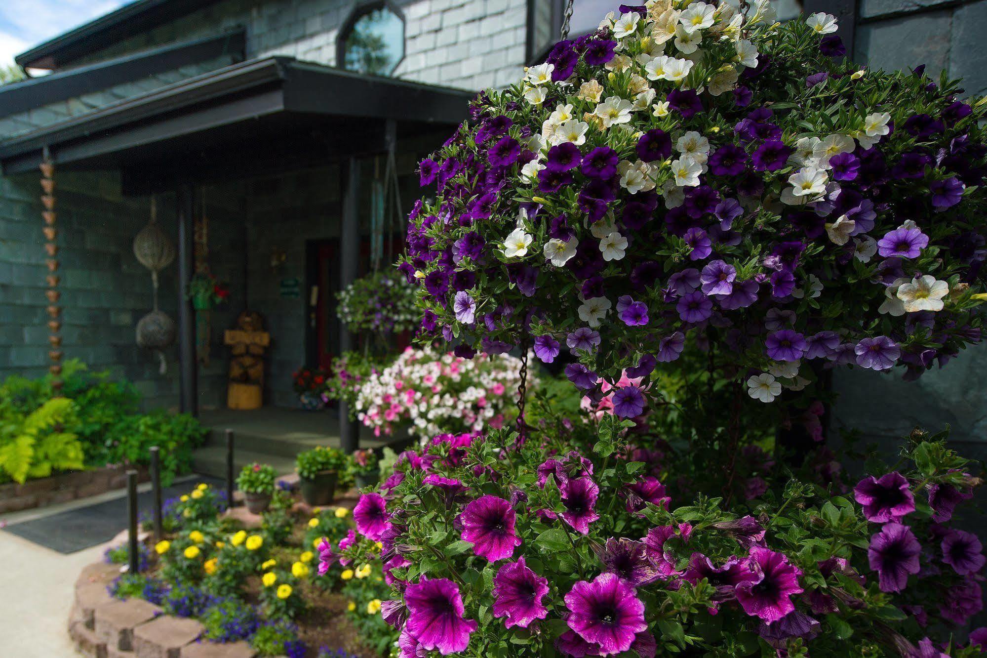 Alaska House Of Jade Bed And Breakfast 앵커리지 외부 사진